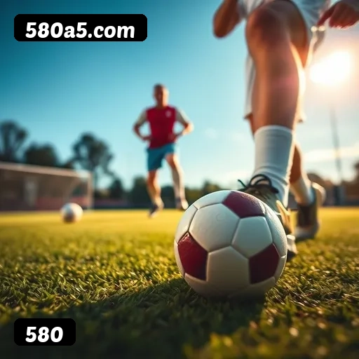 Níveis do programa VIP da 580